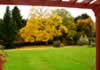 Alton Grange Hotel garden
