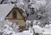 Alton Grange Hotel garden in the snow