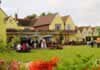 Alton Grange Hotel garden